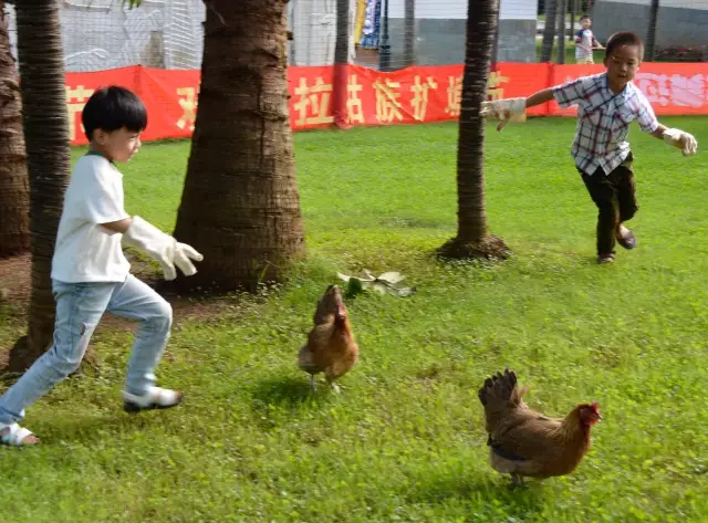 圖片